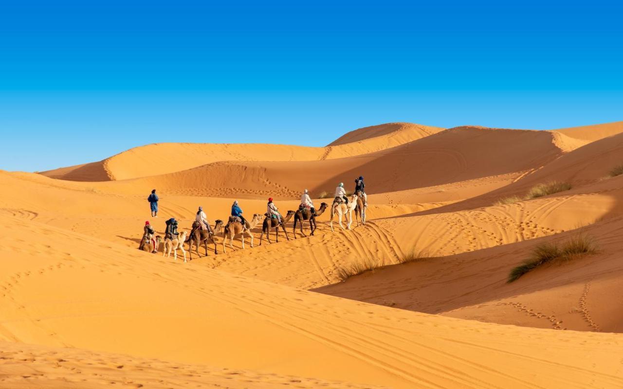 Mhamid Sahara Camp - Mhamid El Ghizlane Hotel M'Hamid Ngoại thất bức ảnh