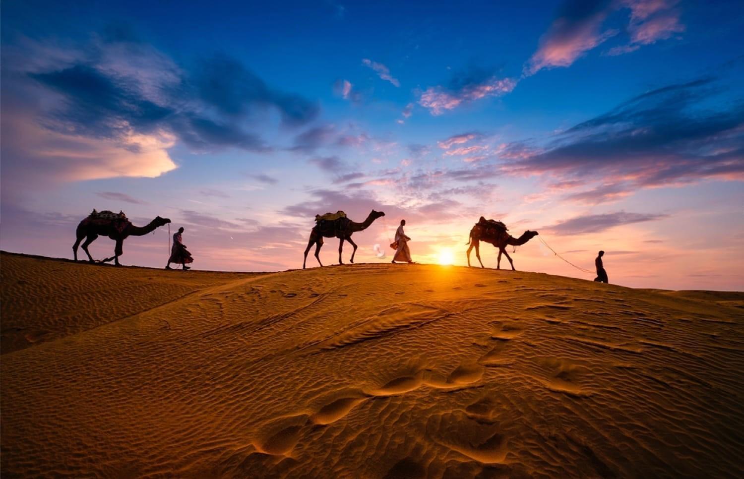Mhamid Sahara Camp - Mhamid El Ghizlane Hotel M'Hamid Ngoại thất bức ảnh